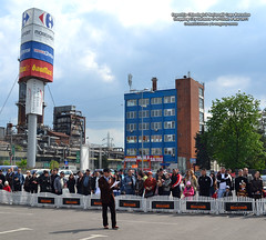 8 Mai 2011 » Expoziţia Chinologică Naţională Cupa Bucovina