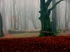 Forest on a foggy winter day by follc, on Flickr