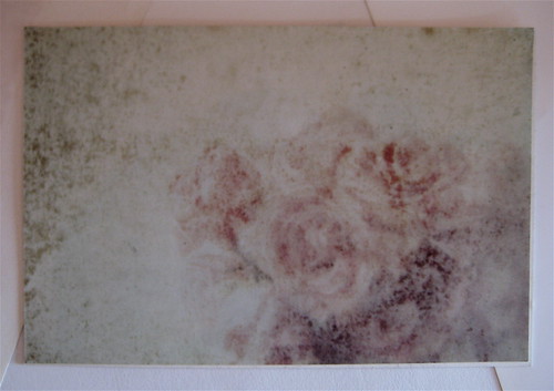 ex box, 49