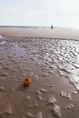 Orange on the beach