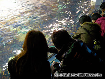 Observing the coral fish from the water surface