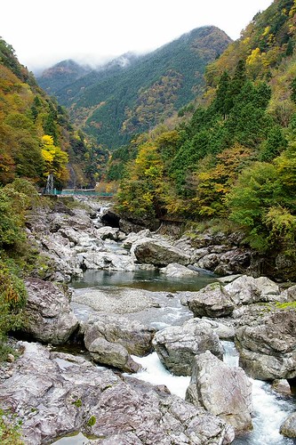 �݂��炢�k�J(2)