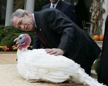 lucky turkey save its life by  President George W. Bush 2007