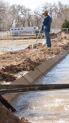 Irrigation_Lloyd by City of Albuquerque Open Space, on Flickr