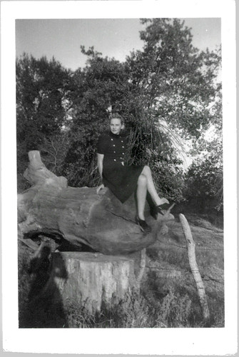 Girl on a tree stump