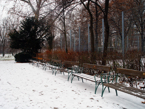 lonely benches