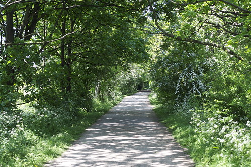 path somewhere towards the Kew end