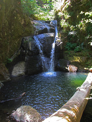 Wolf Creek Falls Trail