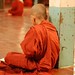 Novice monk studying pali