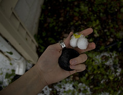 Golfball Sized Hail
