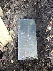 The plate buried in garden