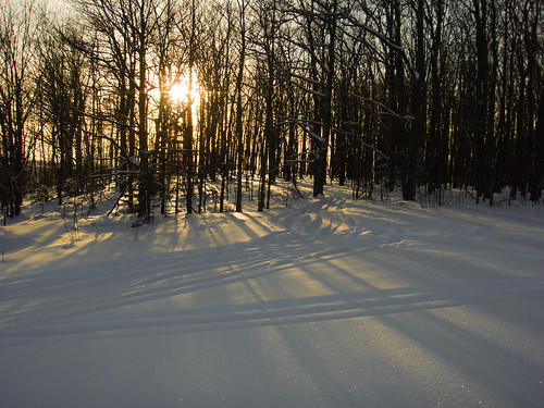 Wisconsin winter
