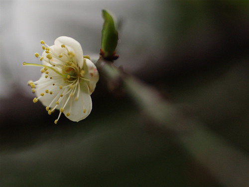 P2095159.JPG