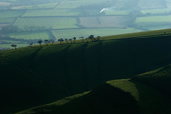 View Across The Bride Valley
