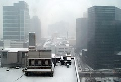 Snowy Day in Newark