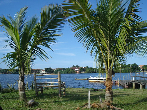 Área de descanso con palmeras, sillas de madera junto a la laguna.
