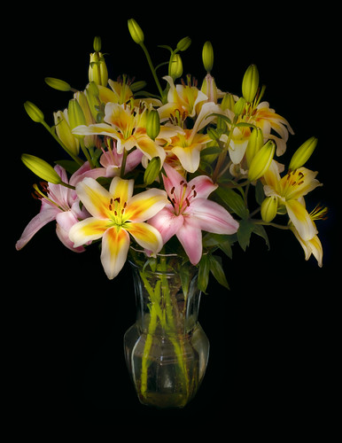 Asiatic Lily Bouquet