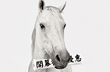 white horse380-2
