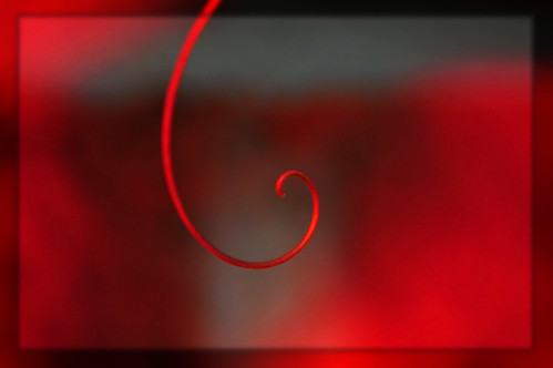 Red curl