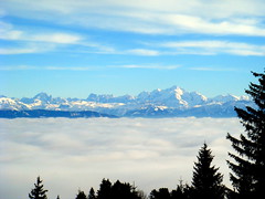 Alps view from Juras
