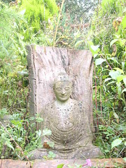 Padmaloka garden buddha