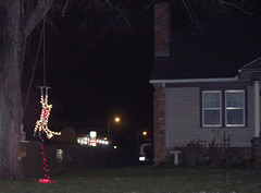 Deer Christmas Lights