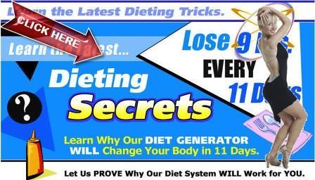 Fat Loss 4 Idiots Diet Secrets
