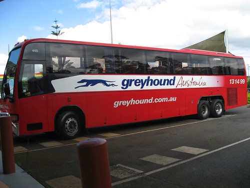 Greyhound Australia bus