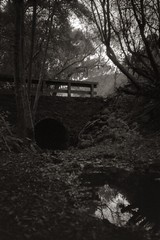 Wildcat Creek footbridge