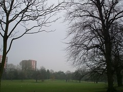 Picture of Mayow Park