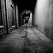 Day 310: Alley