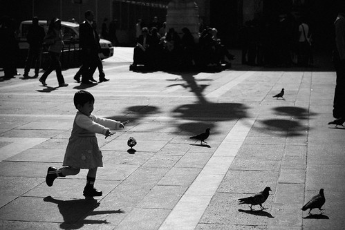 shadow song