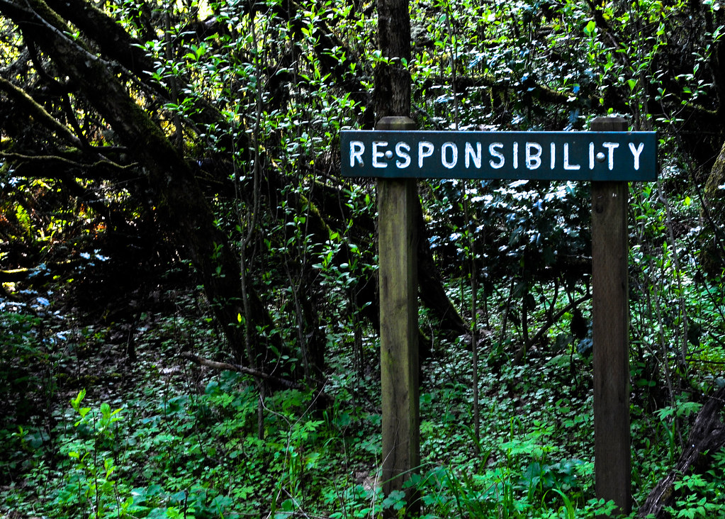 Responsibility. by nosha, on Flickr