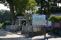�Z�g�_��