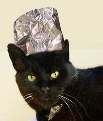 cat-with-tin-foil-hat