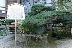 �w偒�