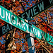 Hungarytown Road