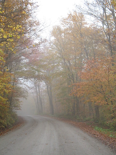foggy roads