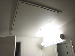 Mosler bathroom ceiling