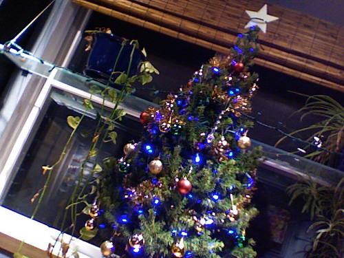 Oh, Christmas Tree