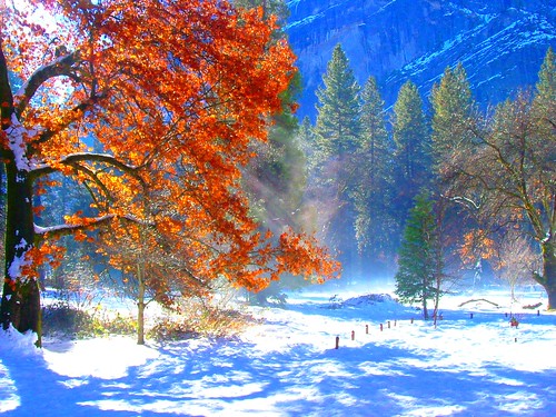 Yosemite Fall Colors in Winter