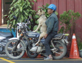 A man and his... dog?!