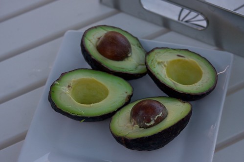 teeny tasty avocados