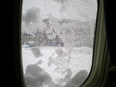 Logan blizzard window