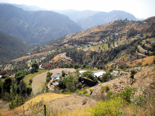 Kogi village