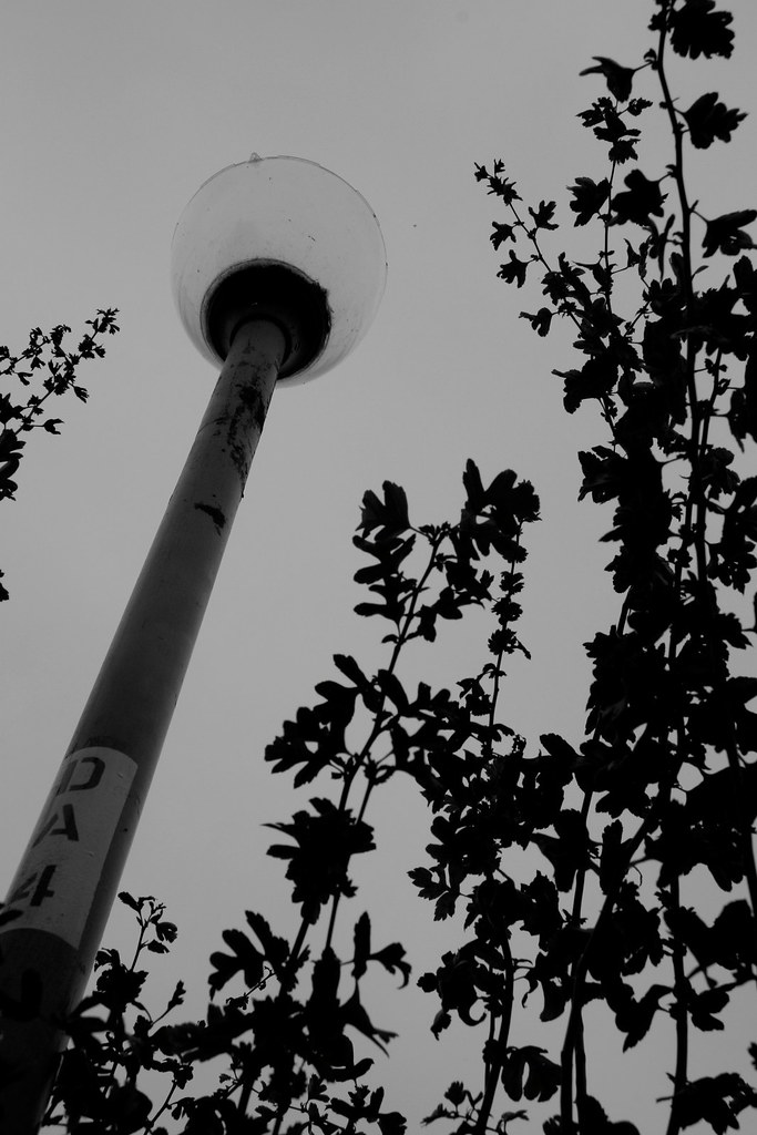 lamppost and foliage