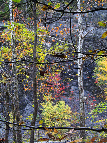 fall color on taughannock falls walk