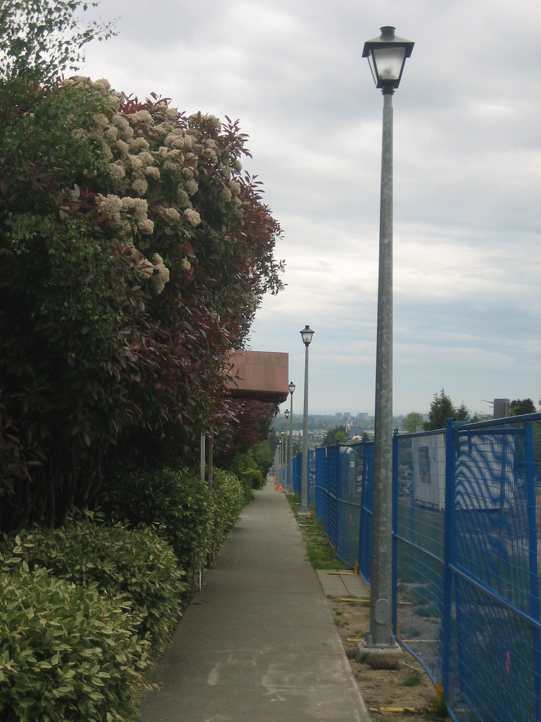 Cambie St. Lamp Post