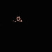 【サムネール画像】闇に浮かぶ姫路城
