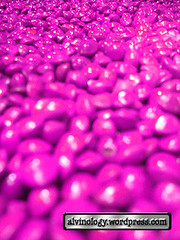 purple saga seeds